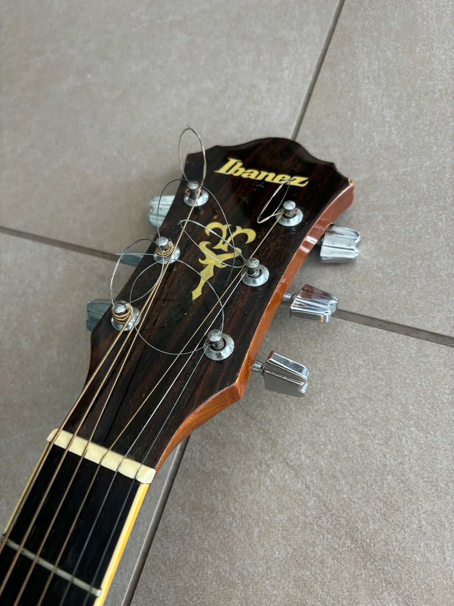 Ibanez M310 Acoustic Guitar MIJ 1982