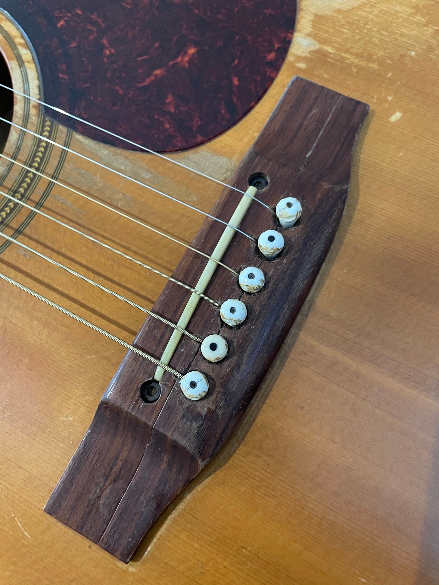 Maton Acoustic Guitar ECW80/6C 1995